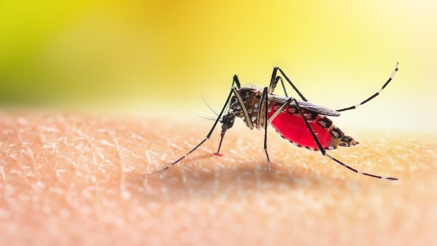 Covid के साथ ही देश में Zika Virus ने भी दी दस्तक