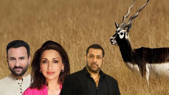 Salman सैफ का हिरण शिकार मामला